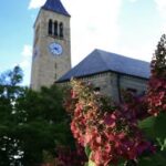 Thaddeus Lucentini, Cornell University’s College of Arts and Sciences Mourns Freshman
