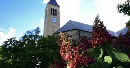 Thaddeus Lucentini, Cornell University’s College of Arts and Sciences Mourns Freshman